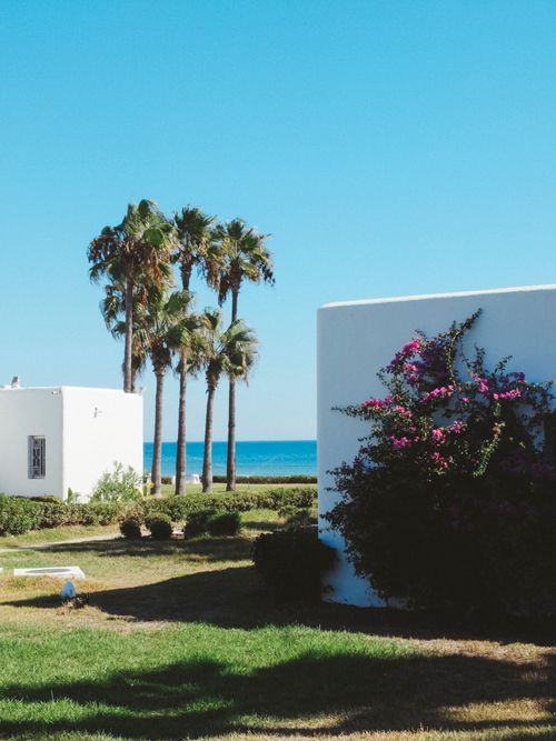 Free Beautiful white villas with palm trees against a vibrant blue sky and ocean backdrop. Stock Photo