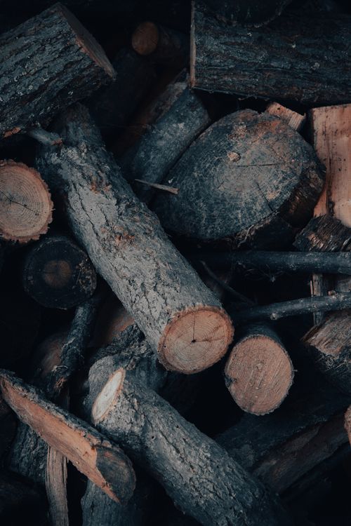 Free Close-up shot of cut firewood logs showcasing natural wood textures and patterns. Stock Photo