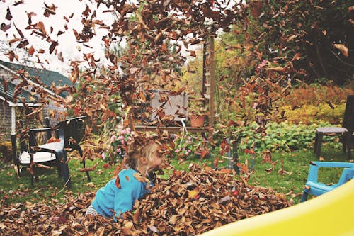 Fotos de stock gratuitas de al aire libre, hojas de otoño, niños