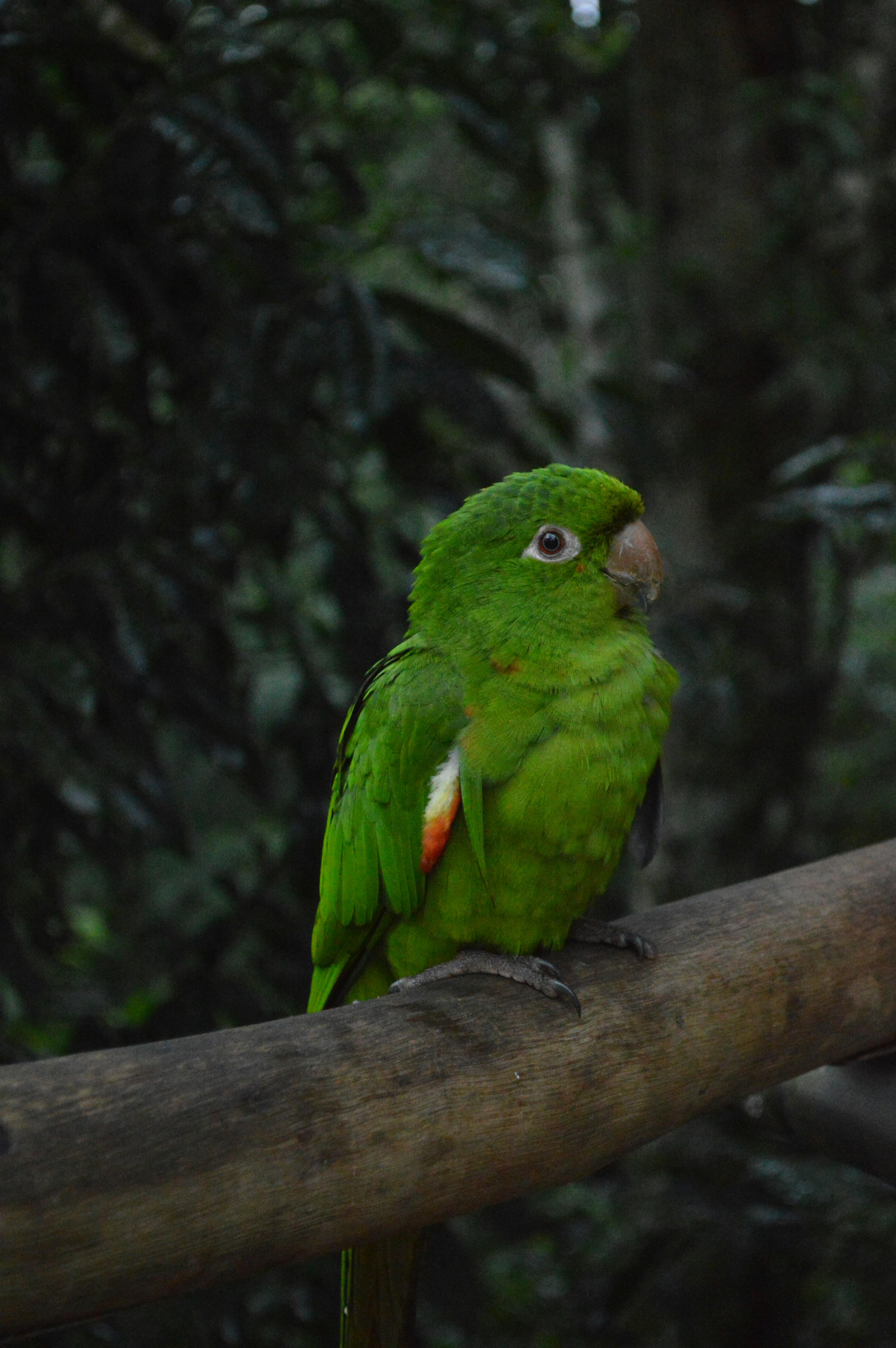 10-incredible-tourist-places-near-delhi-within-200-kms-you-must-visit