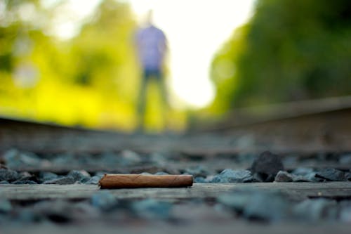 Free stock photo of cigar, creative, outdoors