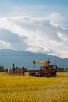 Workers loading hay bales onto a truck in a scenic rural field with a crane.