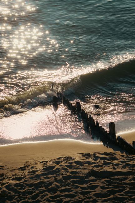 Waves sparkle under the golden sunset on a serene driftwood-lined beach shoreline.