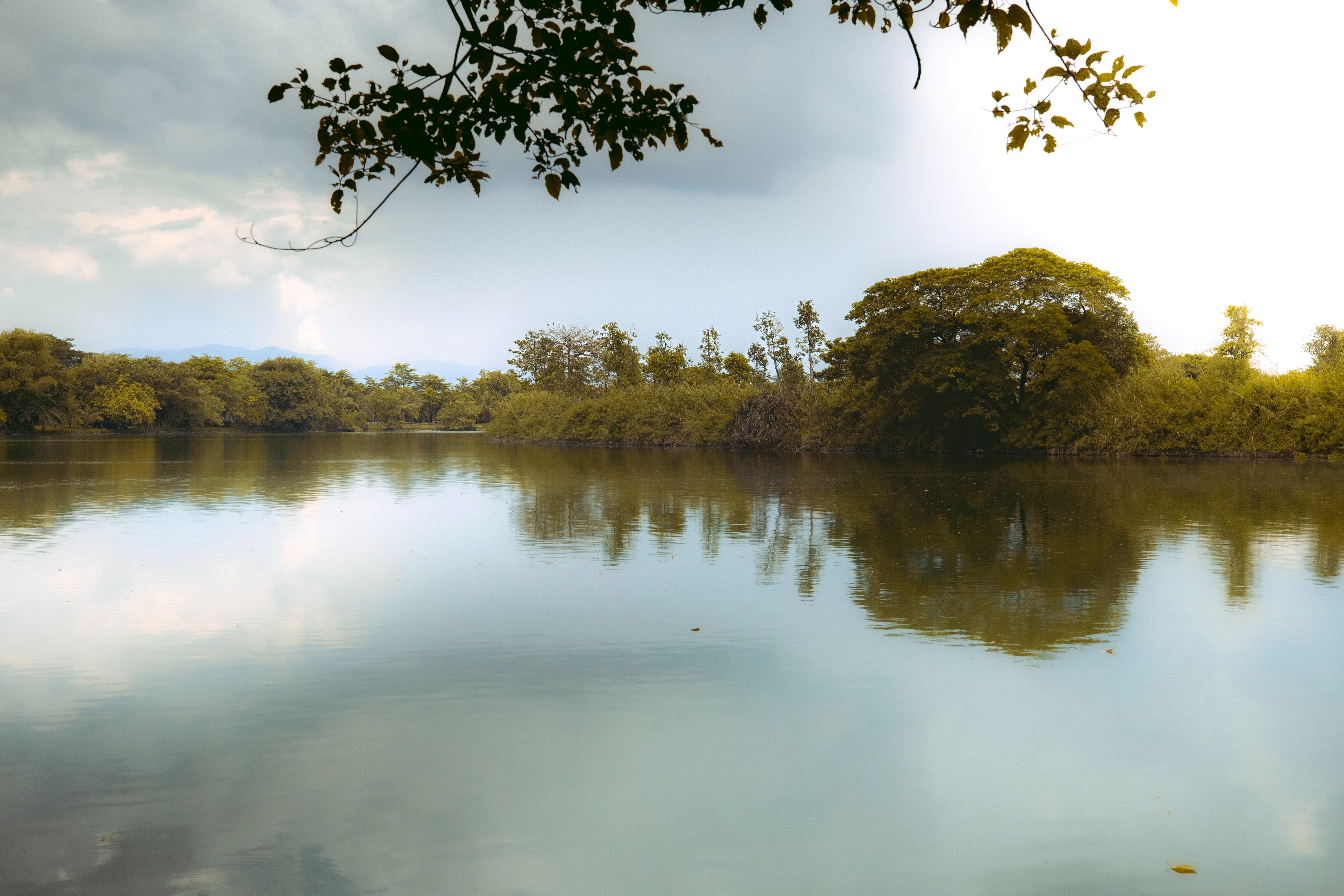Serene Lake View with Reflective Waters · Free Stock Photo