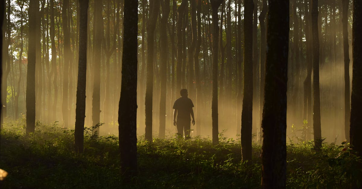 L'art de la gratitude pour une meilleure résilience