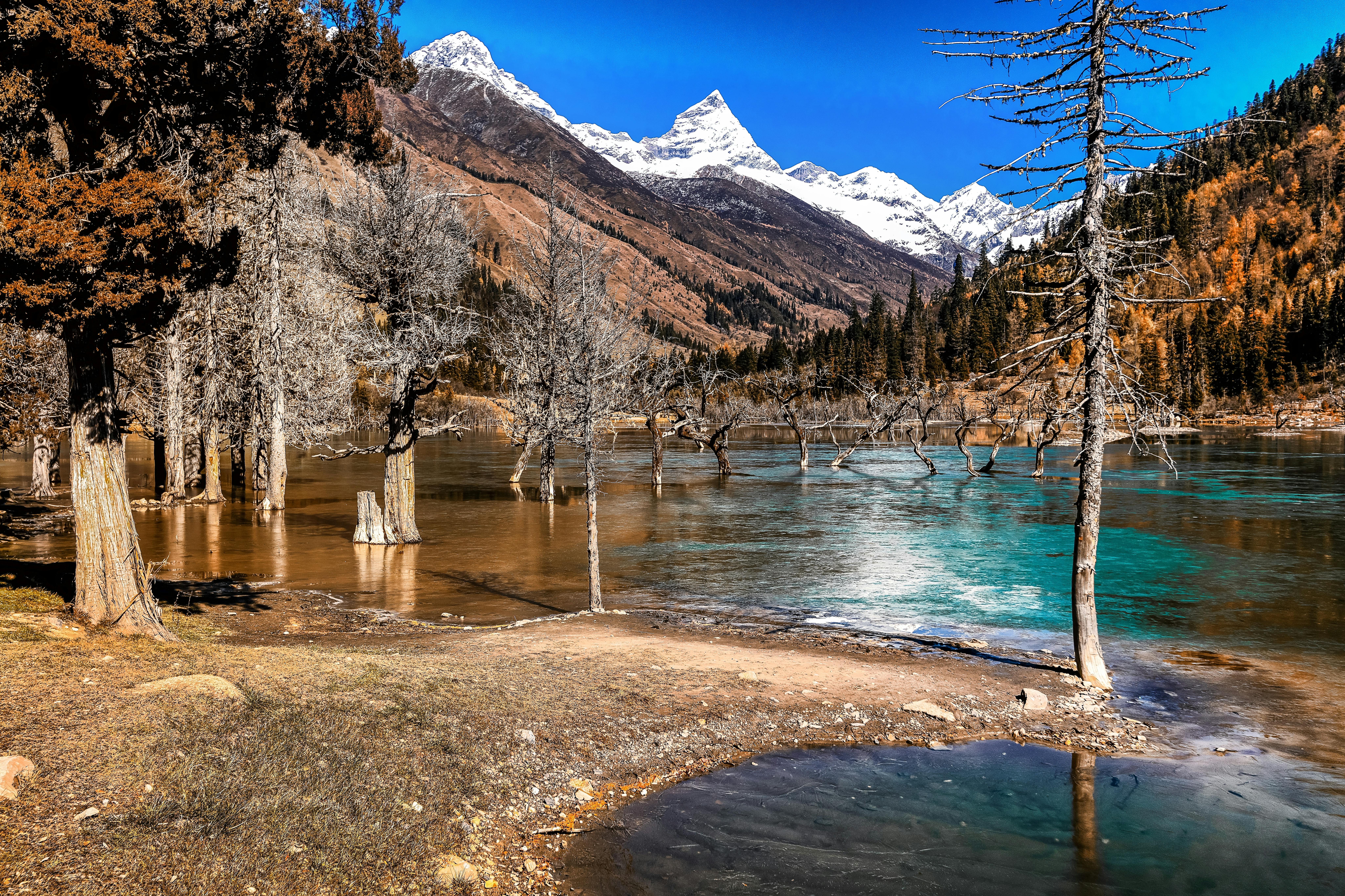 秋湖如画，白雪皑皑的山脉与光秃秃的树木，共同捕捉了季节转换的风景
