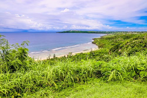 Foto profissional grátis de litoral, montanha, saipan