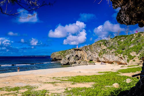 Foto profissional grátis de litoral, saipan