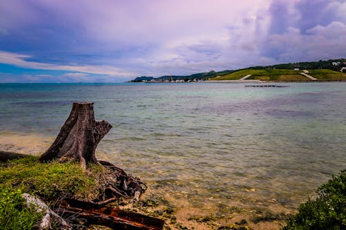 Foto profissional grátis de litoral, saipan