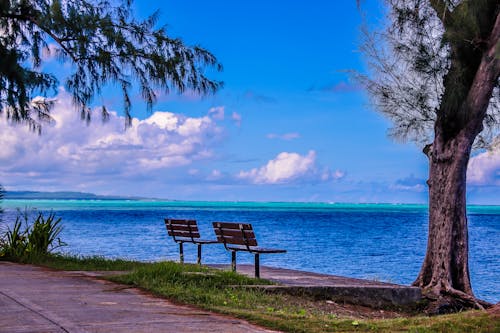 Foto profissional grátis de litoral, saipan