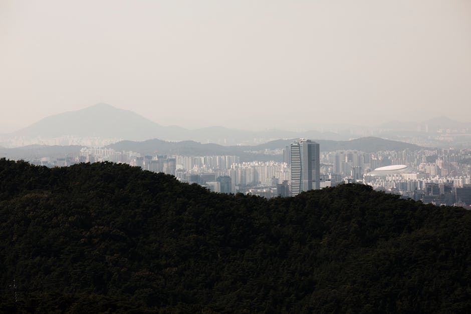 한국 경제 전망 보고서