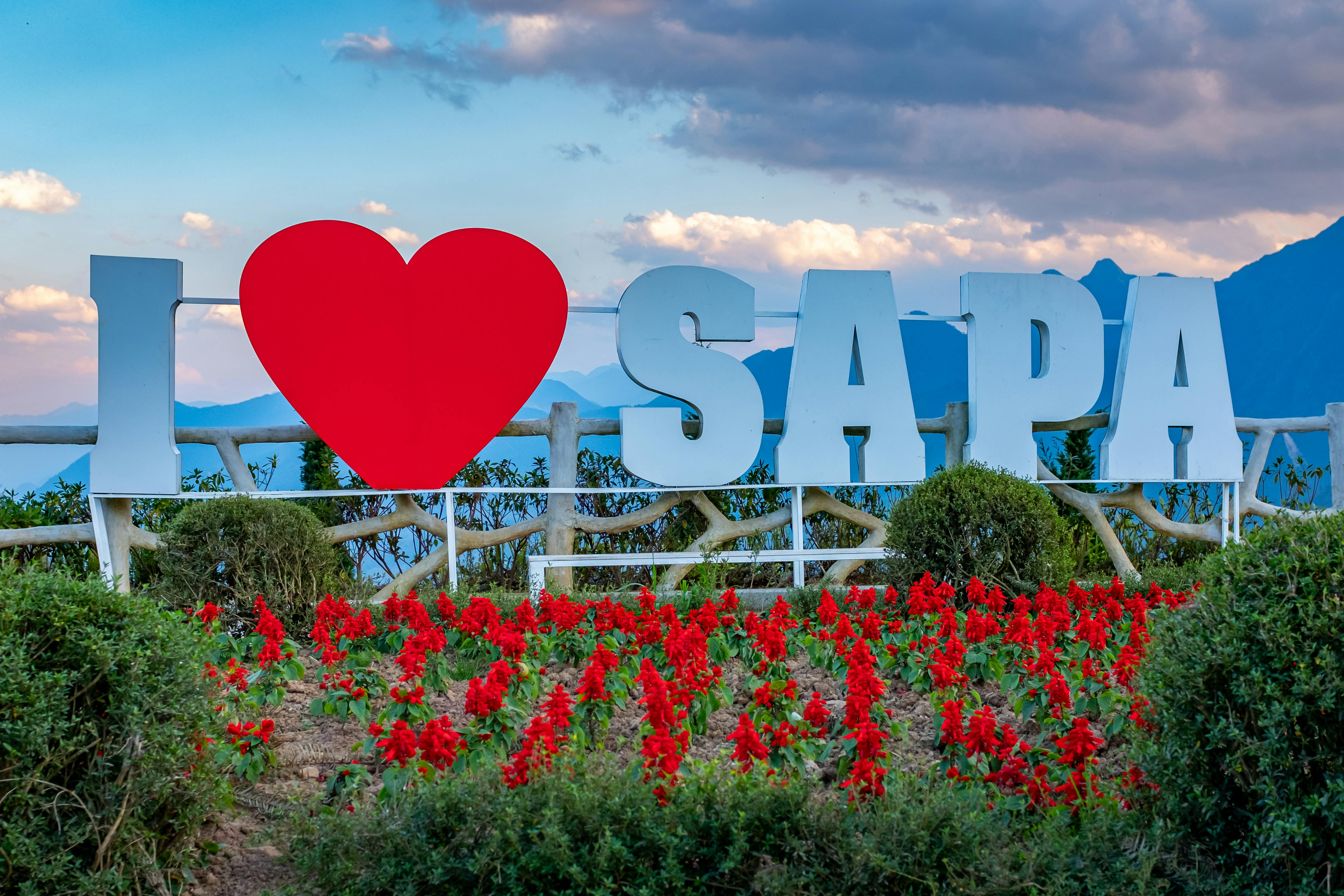 scenic sapa signage with vibrant red flowers