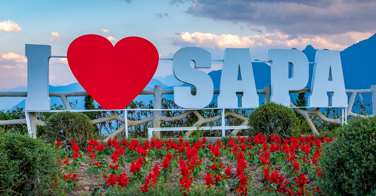 Sapa