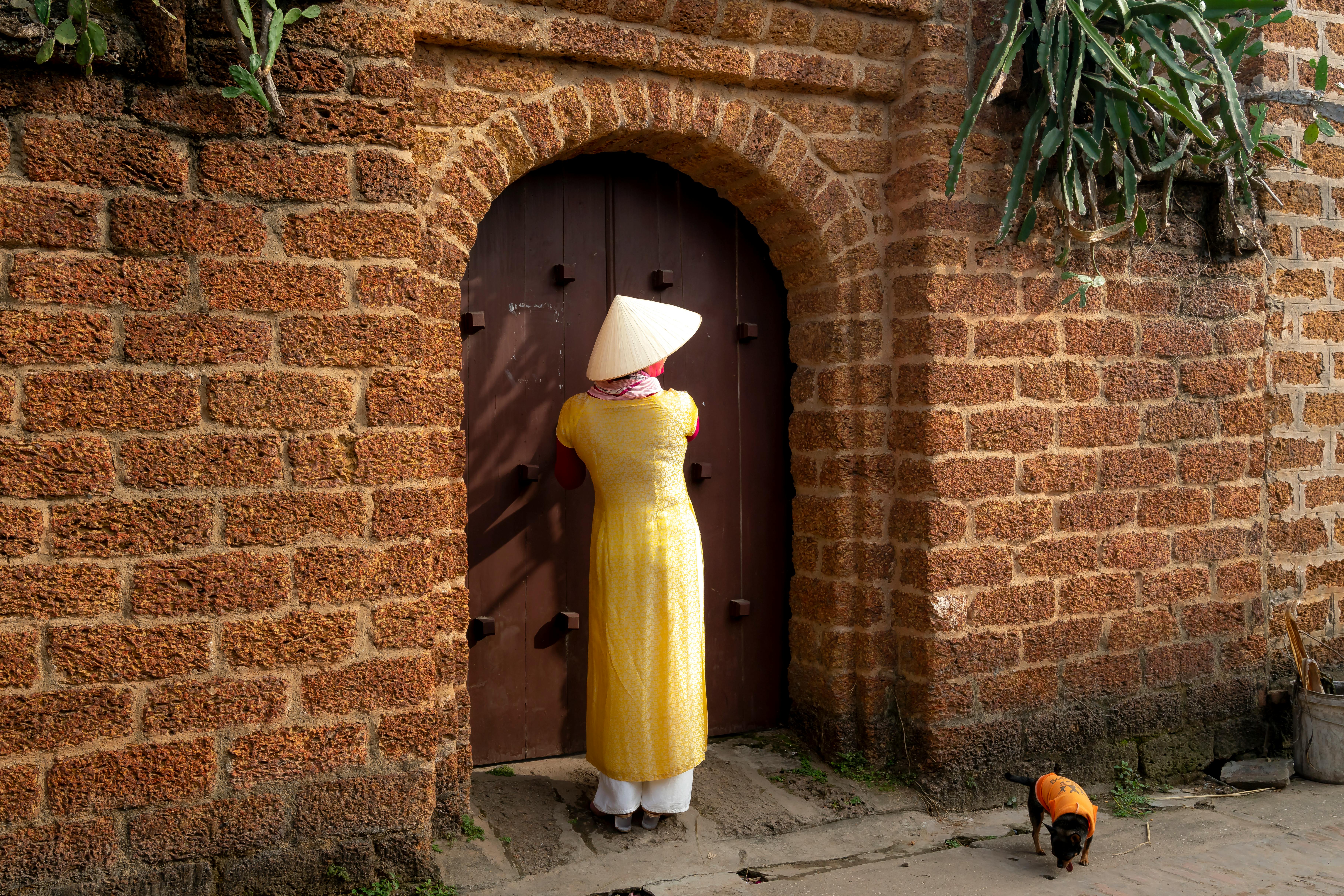 一名妇女头戴圆锥帽，身边跟着一只小狗，站在乡村的砖砌门口