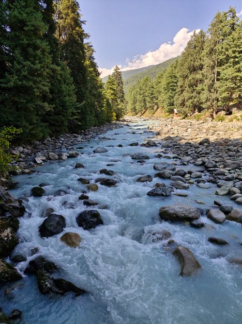 Free A picturesque mountain stream flows through a dense forest under a clear blue sky. Stock Photo