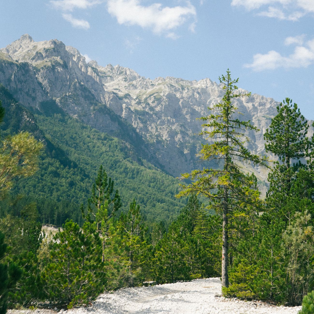 Mobile Coverage Across Albania: What to Expect
