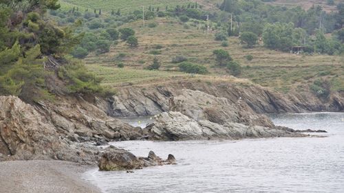 Free Scenic view of a rocky seashore with lush green hills in the background, capturing natural beauty. Stock Photo