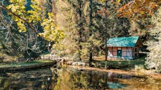 这座乡村小屋坐落在风景优美的森林里，旁边有宁静的湖泊，四周环绕着充满活力的秋叶