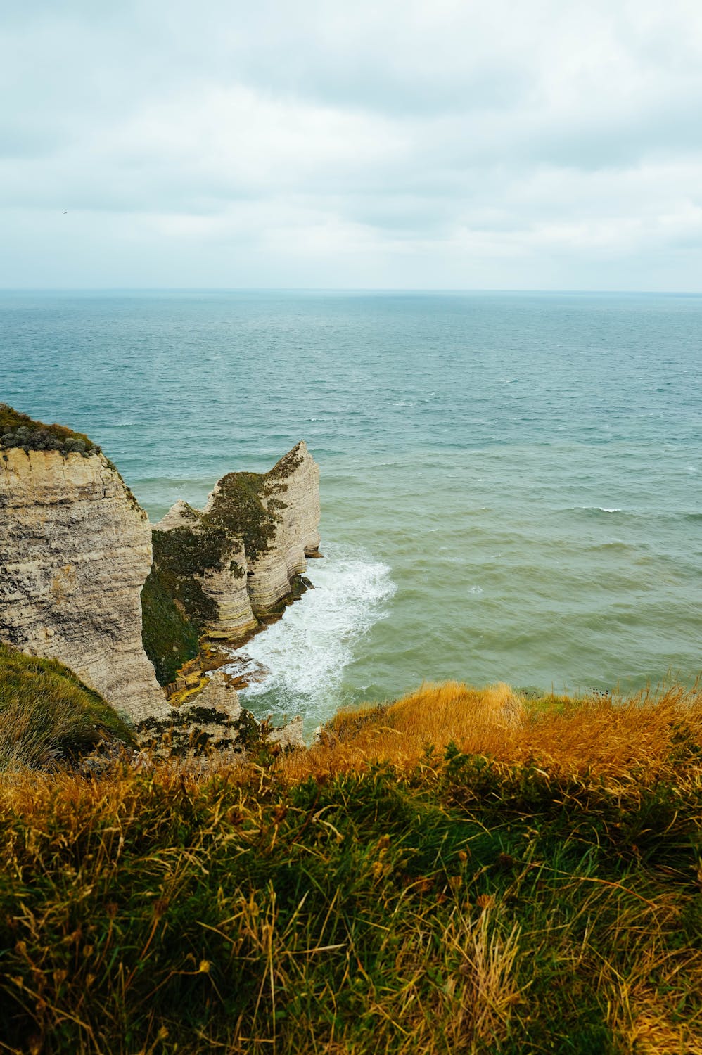 Dramatic Cliffs Overlooking the Ocean · Free Stock Photo