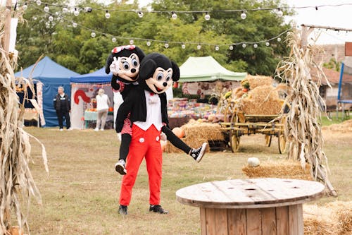 Fairs That Shine in Perfect Fall Weather