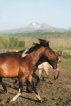Free-ranging horses gallop with a mountain backdrop, capturing natural beauty and freedom themes.