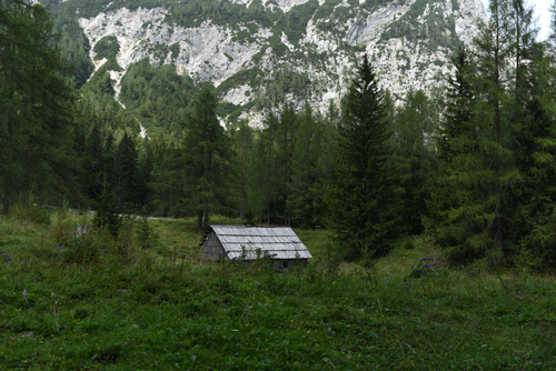 Free A scenic view of a rustic cabin surrounded by lush green forest and mountains. Stock Photo