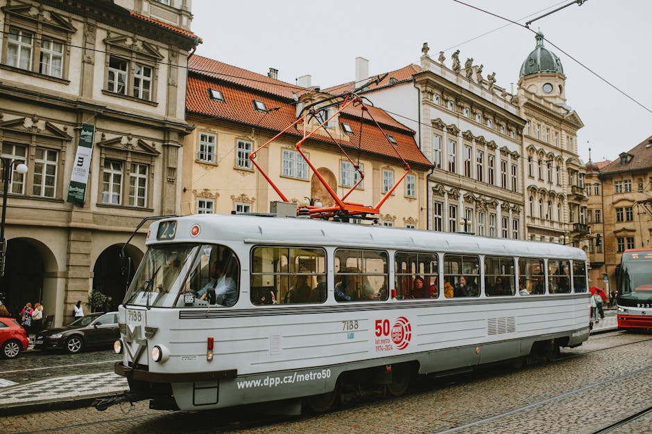 Electric Symphony at Ankali