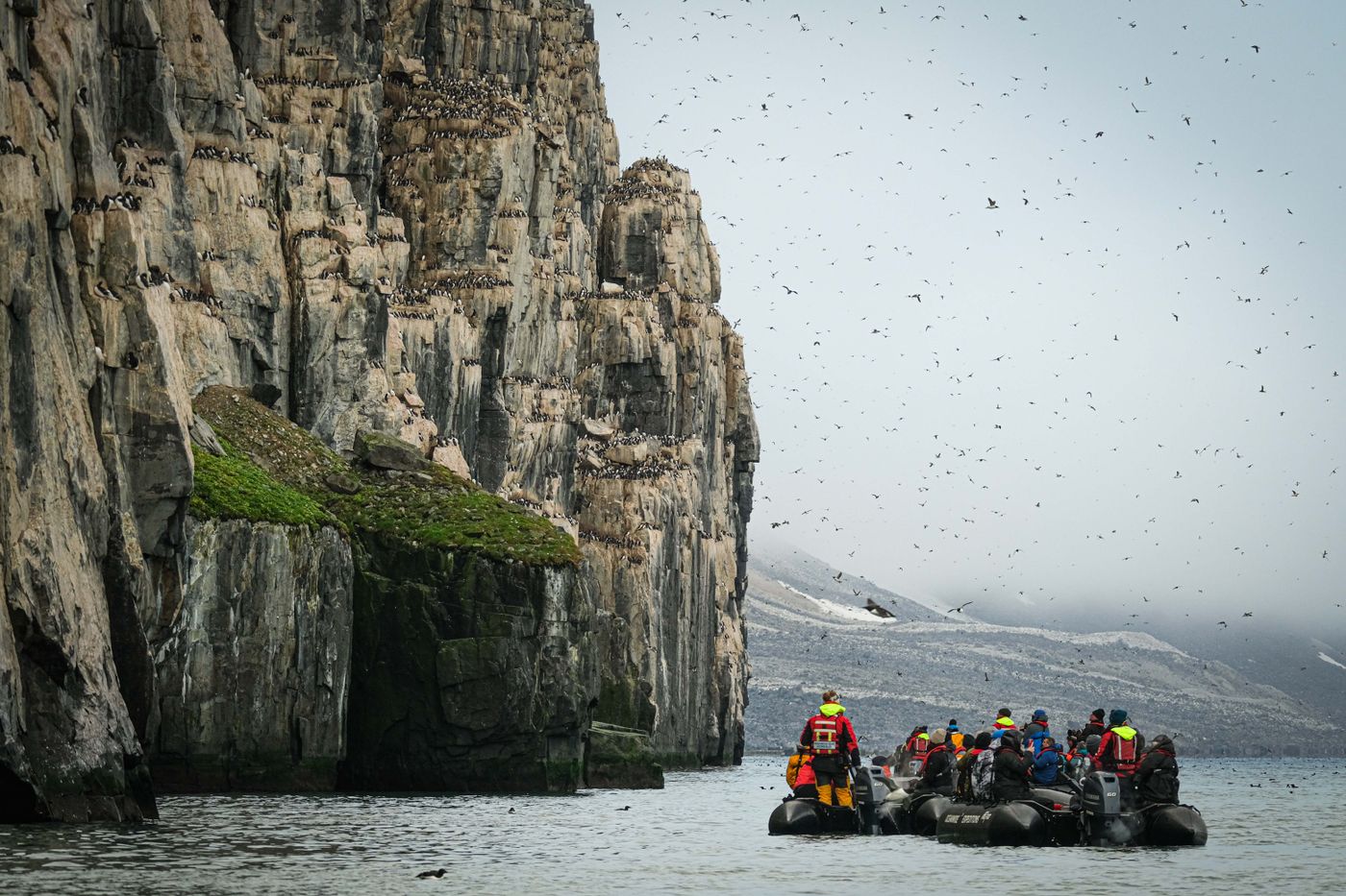 Visitors in small boats watching seabirds on a steep Arctic cliff