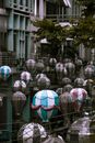 Assorted-color Balloon Lot