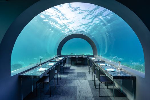 Enjoy a unique dining experience in a breathtaking underwater restaurant setting.