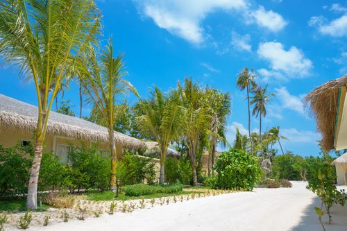 Free Picturesque tropical resort pathway lined with palm trees under a bright blue sky, capturing serene vacation vibes. Stock Photo