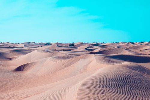 Free Vast rolling sand dunes in the Sahara Desert beneath a clear blue sky. Stock Photo