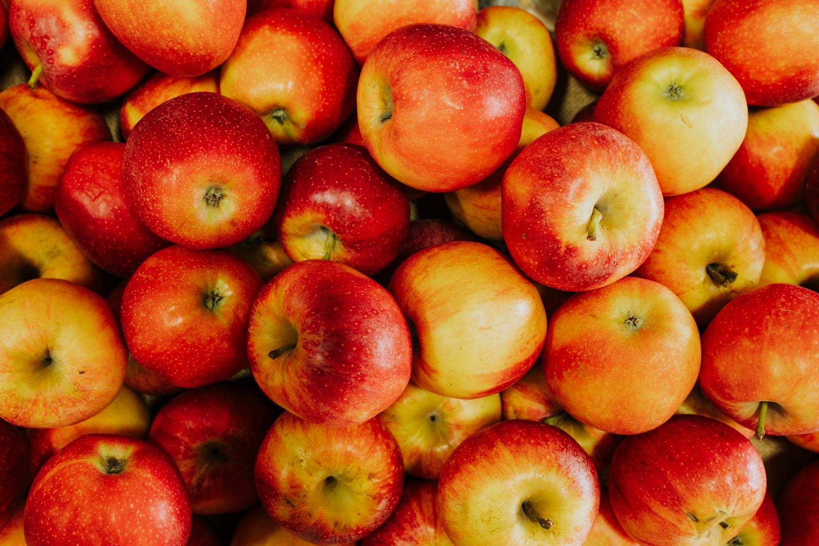 Apples Images Photos, Download The BEST Free Apples Images Stock Photos ...