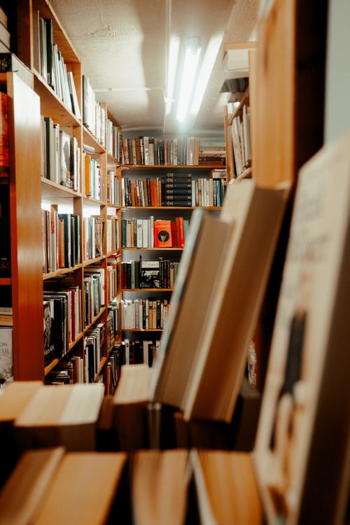 Free Warm-toned image of a library aisle filled with books on wooden shelves and overhead lighting. Stock Photo