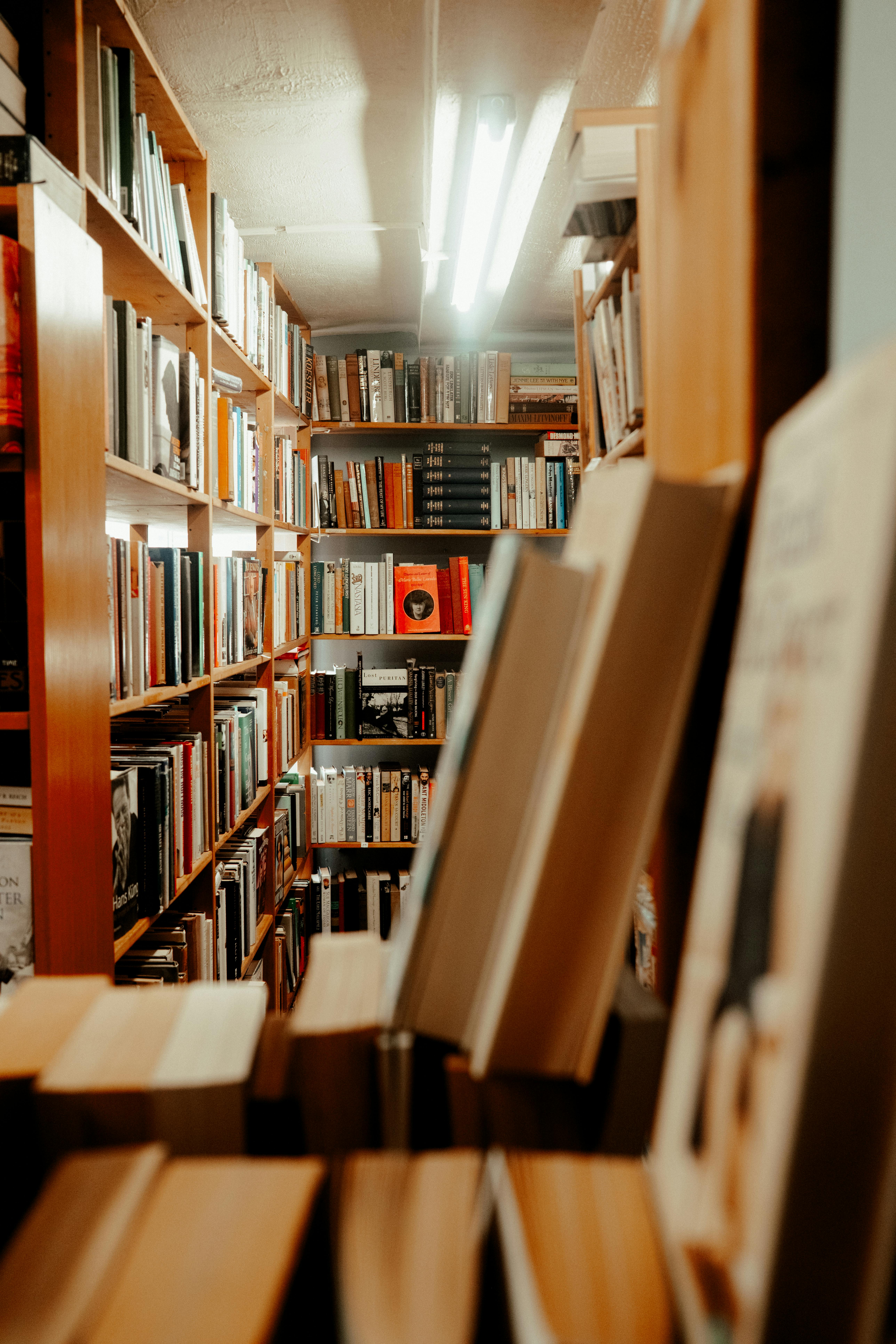 Gratuit Vedere Interioară A Culoarului Pentru Bibliotecă Confortabilă Fotografie de stoc