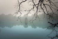 薄雾湖的早晨宁静，树枝与倒影相映成趣