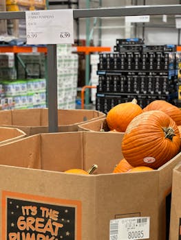 Large cardboard boxes filled with jumbo pumpkins for sale.