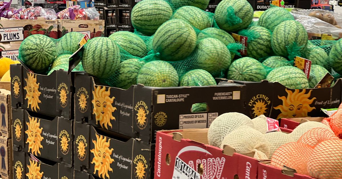 Watermelon In Store Vibrant Watermelon Display in Grocery Store · Free Stock Photo