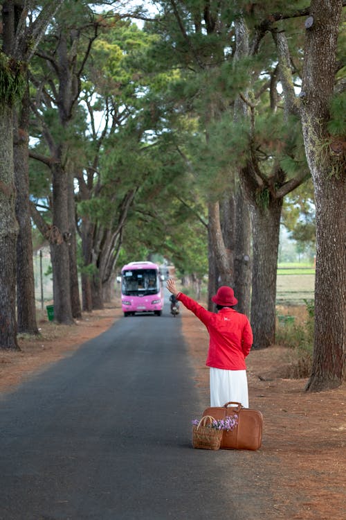 Женщина ловит автобус
