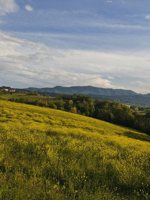 Free Lush meadow in Samsun, Türkiye, with scenic mountains in the background under a clear sky. Stock Photo