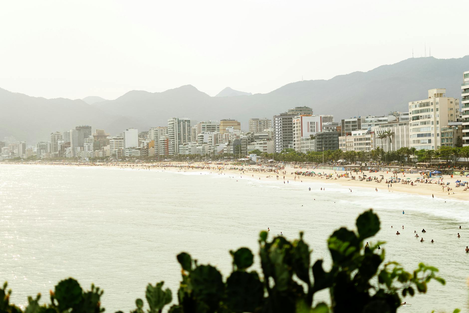 The Ultimate Rio Carnival Travel Guide: Rhythm, Ritual, and Revelry