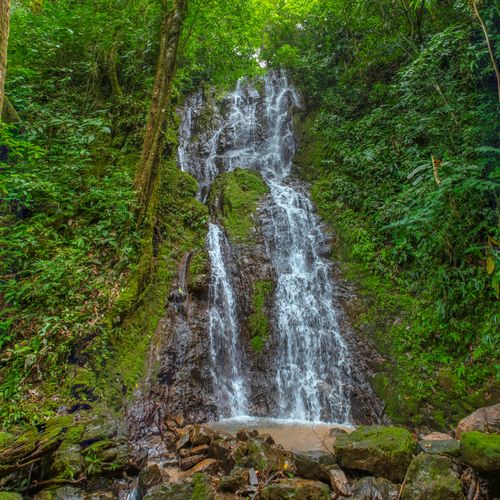 Free A serene waterfall cascades down mossy rocks in a vibrant green rainforest. Stock Photo