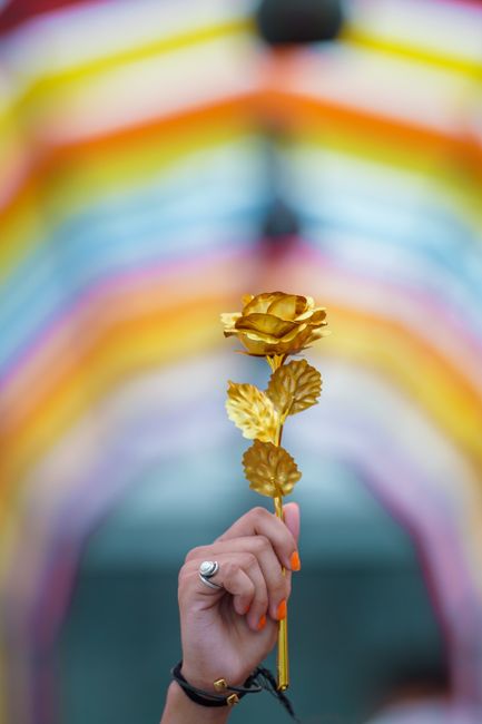 A gold rose held up against a vivid, colorful striped background, symbolizing art and creativity.