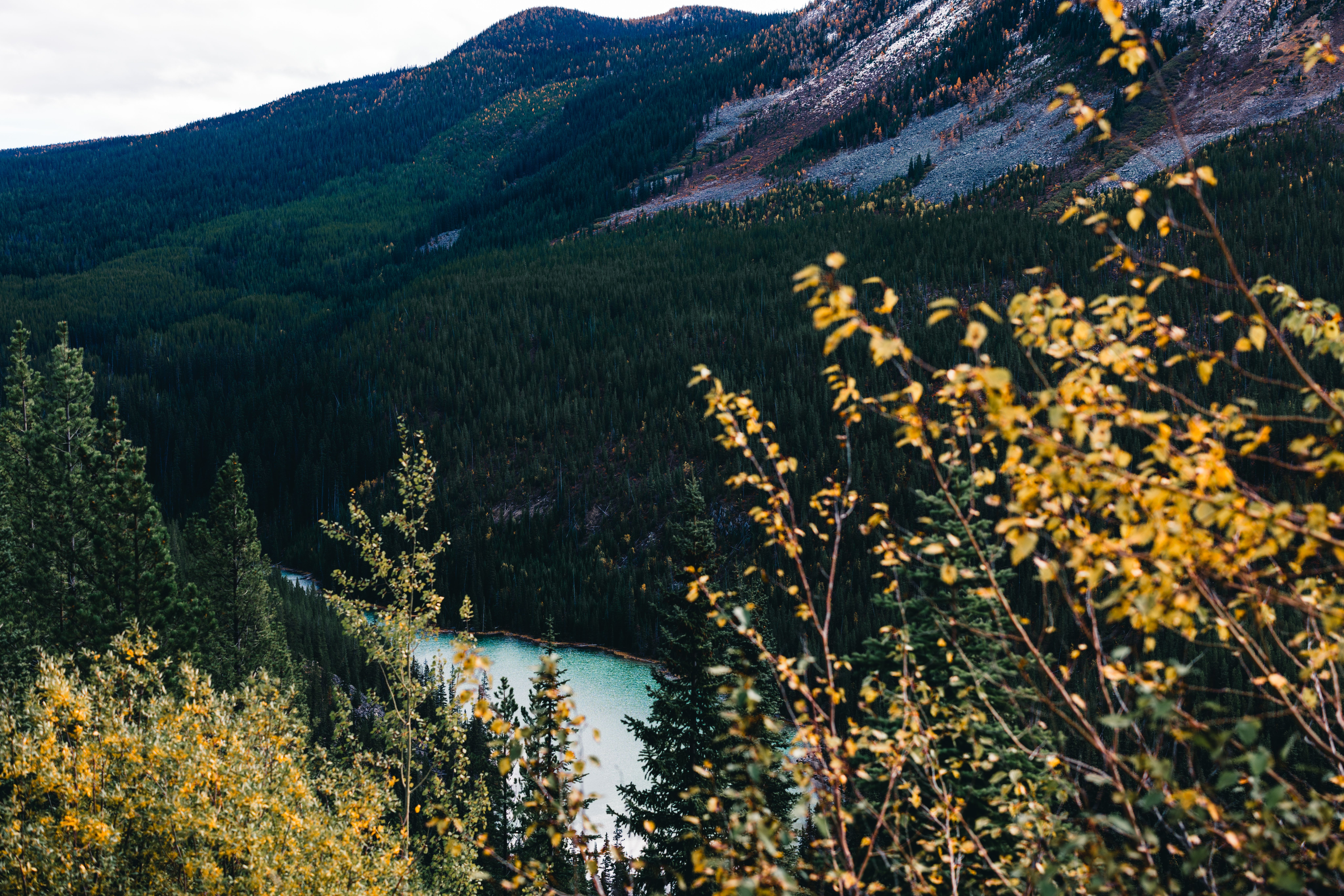Scenic Autumn Mountain Landscape with River View · Free Stock Photo