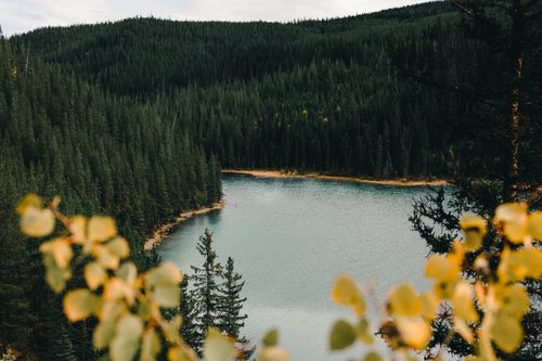 Free Peaceful lake surrounded by dense forest, showcasing autumn colors and tranquility. Stock Photo