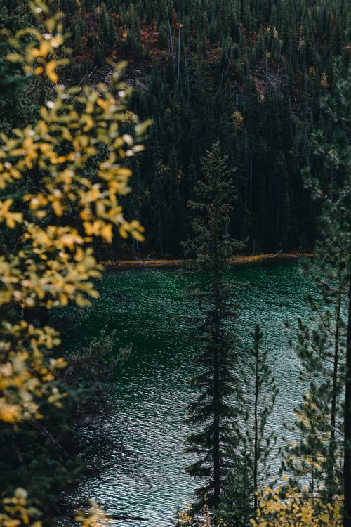 Free Serene autumn forest with a picturesque lake view during fall. Stock Photo