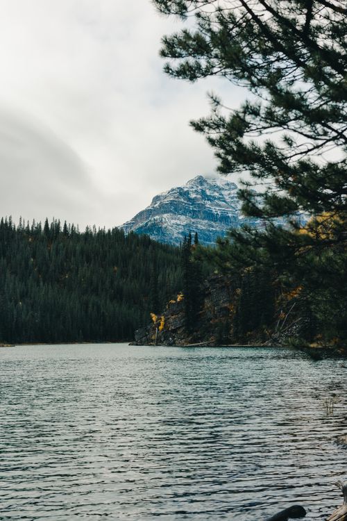 Free Beautiful view of a mountain lake with surrounding forest and snow-capped peaks. Stock Photo
