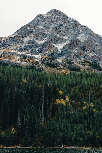 Bus Tickets & Public Transport Options Near Rocky Mountains Canada - Featured Image