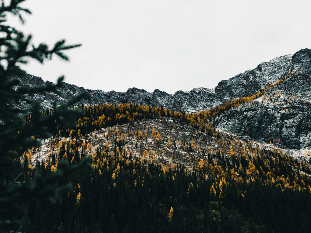 3 Day Yoga Retreat & Nature Adventure in British Columbia, Canada 2
