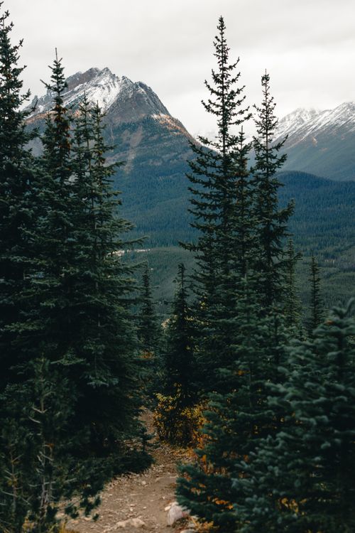 Free Captivating view of mountains and forest creating a peaceful natural landscape. Ideal for nature and travel enthusiasts. Stock Photo